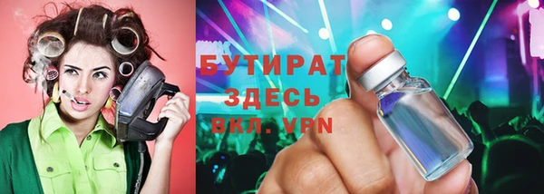 хмурый Аркадак