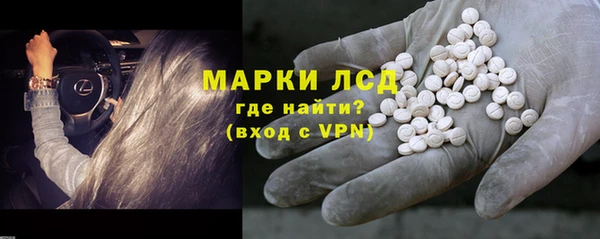 прущие грибы Армянск