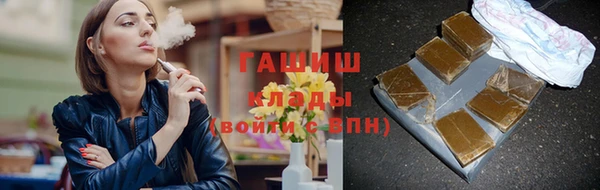 хмурый Аркадак