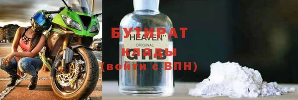 хмурый Аркадак