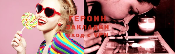 хмурый Аркадак