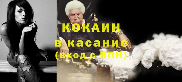 стафф Арсеньев