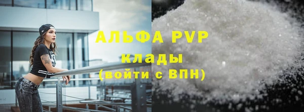 хмурый Аркадак
