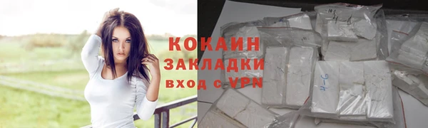 стафф Арсеньев