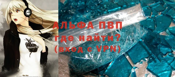 стафф Арсеньев