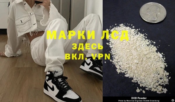 хмурый Аркадак