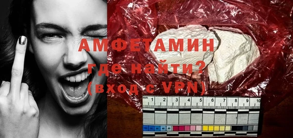 хмурый Аркадак