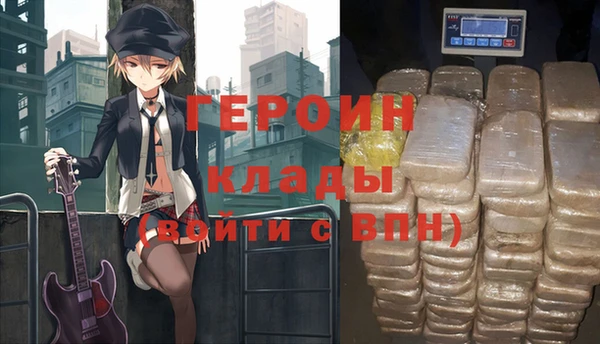 хмурый Аркадак