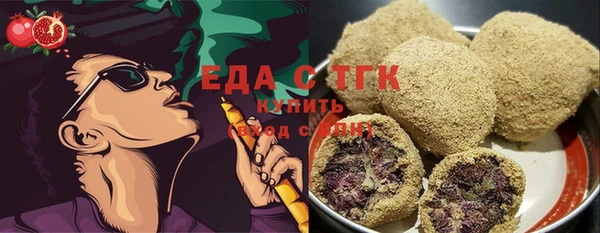 хмурый Аркадак