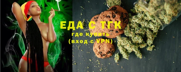 хмурый Аркадак