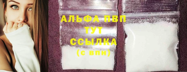 стафф Арсеньев