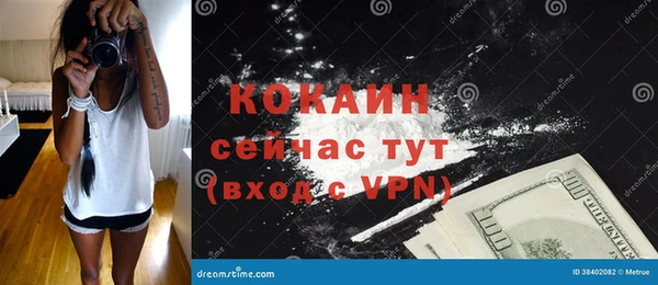 прущие грибы Армянск