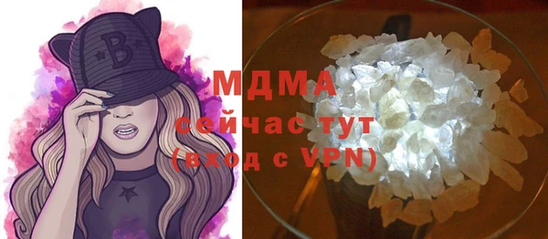 хмурый Аркадак