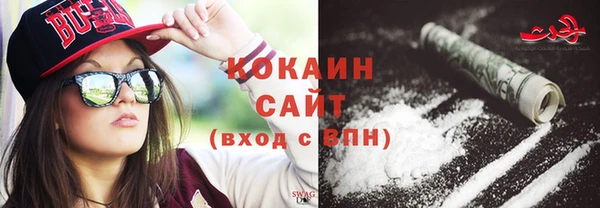 прущие грибы Армянск