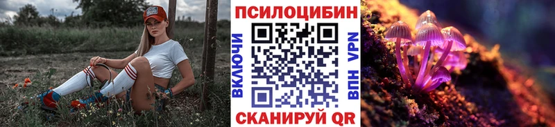 купить наркотик  Палласовка  Галлюциногенные грибы мицелий 