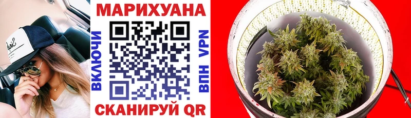 где купить наркоту  Палласовка  MEGA как зайти  Каннабис Amnesia 